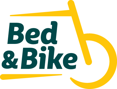 Bed Bike